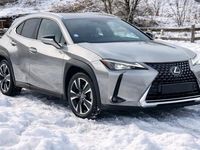 Occasion Lexus UX 250h 152 ch (111 kW) 2021 Beige SUV