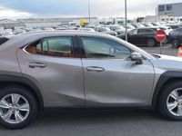 occasion Lexus UX 250H 2WD PACK BUSINESS MY20