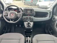 occasion Fiat Panda Cross 1.0 70ch BSG S&S - VIVA190391568