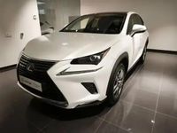 Occasion Lexus NX300h 155 ch (114 kW) 2018 Blanc arctique SUV