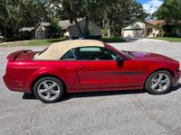 occasion Ford Mustang GT Mustang CALIFORNIA SPECIALE