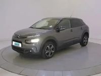 occasion Citroën C4 Business Bluehdi 100 S&s Bvm6 - Feel