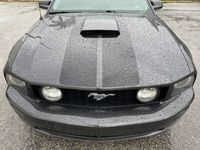 occasion Ford Mustang GT Mustang bvm