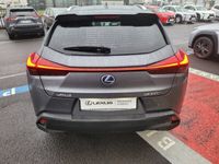 occasion Lexus UX 250h 2WD Premium Edition MY21