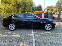 occasion Jaguar XE P250 R-DYNAMIC S BVA8