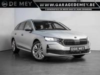 Occasion Skoda Octavia 116 ch (85 kW) 2024 Argent Break