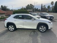 occasion Lexus UX 250h 2WD Pack MY20 - VIVA163235465