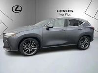 Occasion Lexus NX450h+ Executive Line 188 ch (138 kW) 2023 Gris SUV