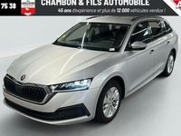 Occasion Skoda Octavia Business Line 150 ch (110 kW) 2022 Break
