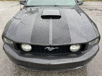 occasion Ford Mustang GT V8 46L ATMO