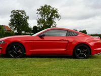 occasion Ford Mustang Ecoboost