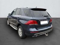 occasion Mercedes GLE250 250 D 204CH EXECUTIVE 4MATIC 9G-TRONIC