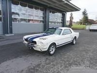 Occasion Ford Mustang 203 ch (149 kW) 1966 Blanc Coupé