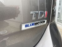 occasion VW Golf 1.6 TDI 110ch BlueMotion FAP Confortline 5p