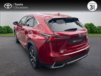 occasion Lexus NX300h 4WD Executive Innovation MY21 - VIVA188135866