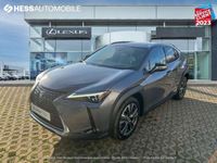 occasion Lexus UX 250h 250h 4WD Executive MY19