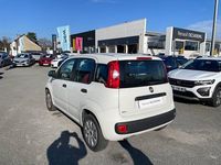 Occasion Fiat Panda 69 ch (50 kW) 2018 Blanc Citadine