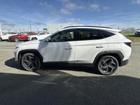 occasion Hyundai Tucson 1.6 T-gdi 265 Htrac Plug-in Bva6 Creative