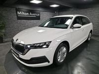 Occasion Skoda Octavia Ambition 116 ch (85 kW) 2023 Blanc Break