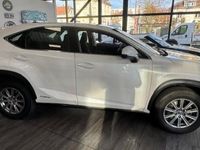 Occasion Lexus NX300h Business Edition 197 ch (144 kW) 2016 SUV