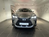 occasion Lexus NX350h 2WD Luxe MY24