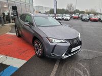 occasion Lexus UX 250h 2WD Premium Edition MY21