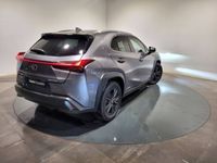 occasion Lexus UX 250h 2WD Luxe MY19 - VIVA188593208