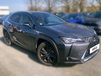 occasion Lexus UX 250h 2WD Luxe Plus