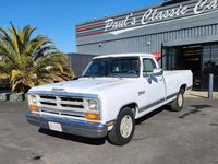 Occasion Dodge D100 1989 Blanc SUV