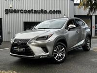 Occasion Lexus NX300h 158 ch (116 kW) 2020 Gris SUV