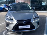 occasion Lexus NX300h 4WD Executive Innovation MY21