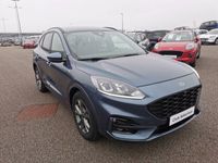 occasion Ford Kuga 2.0 EcoBlue 150ch mHEV ST-Line