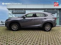 occasion Lexus NX300h 2wd Pack Business My21