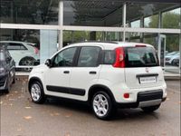 occasion Fiat Panda 1.0 70ch BSG S&S City Life (Juin2021) - VIVA159759751
