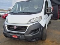 Occasion Fiat Ducato 130 ch (95 kW) 2019 Van