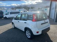 occasion Fiat Panda 1.0 70ch BSG S&S Pack Confort - VIVA190390867