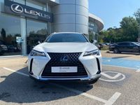 occasion Lexus UX 250h 2WD Luxe MY19