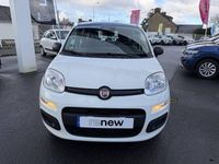 Occasion Fiat Panda S 70 ch (51 kW) 2025 Blanc Citadine