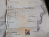 Occasion Skoda Octavia 116 ch (85 kW) 2019 Gris Berline