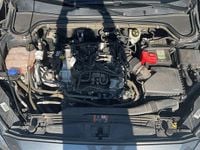 Occasion Ford Focus Business Edition 125 ch (91 kW) 2020 Break