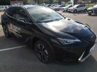 occasion Lexus UX 250h 2WD Premium Edition 2020