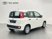 Occasion Fiat Panda 70 ch (51 kW) 2022 Blanc Citadine