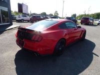 occasion Ford Mustang GT SHELBY GT350 5.2L V8 350 2017