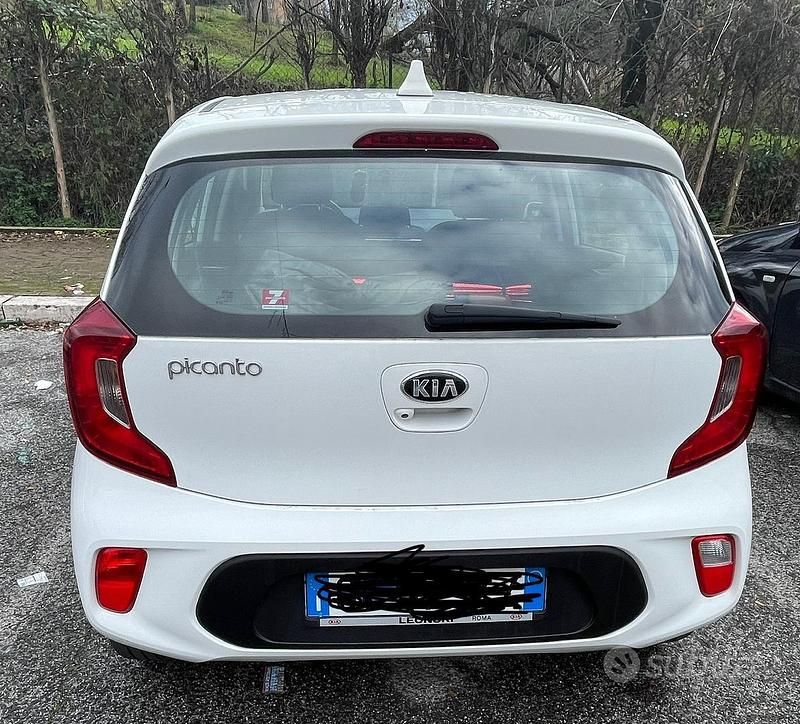 Usata Kia Picanto 2020 Bianco Utilitaria