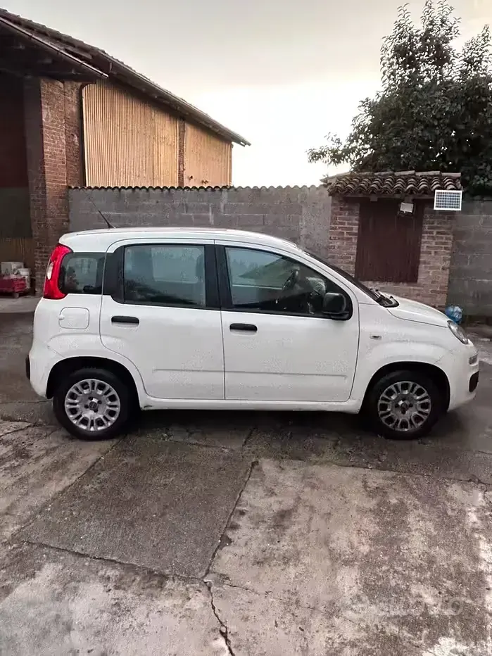 Usata Fiat Panda Easy 69 CV (50 kW) 2020 Bianco Utilitaria