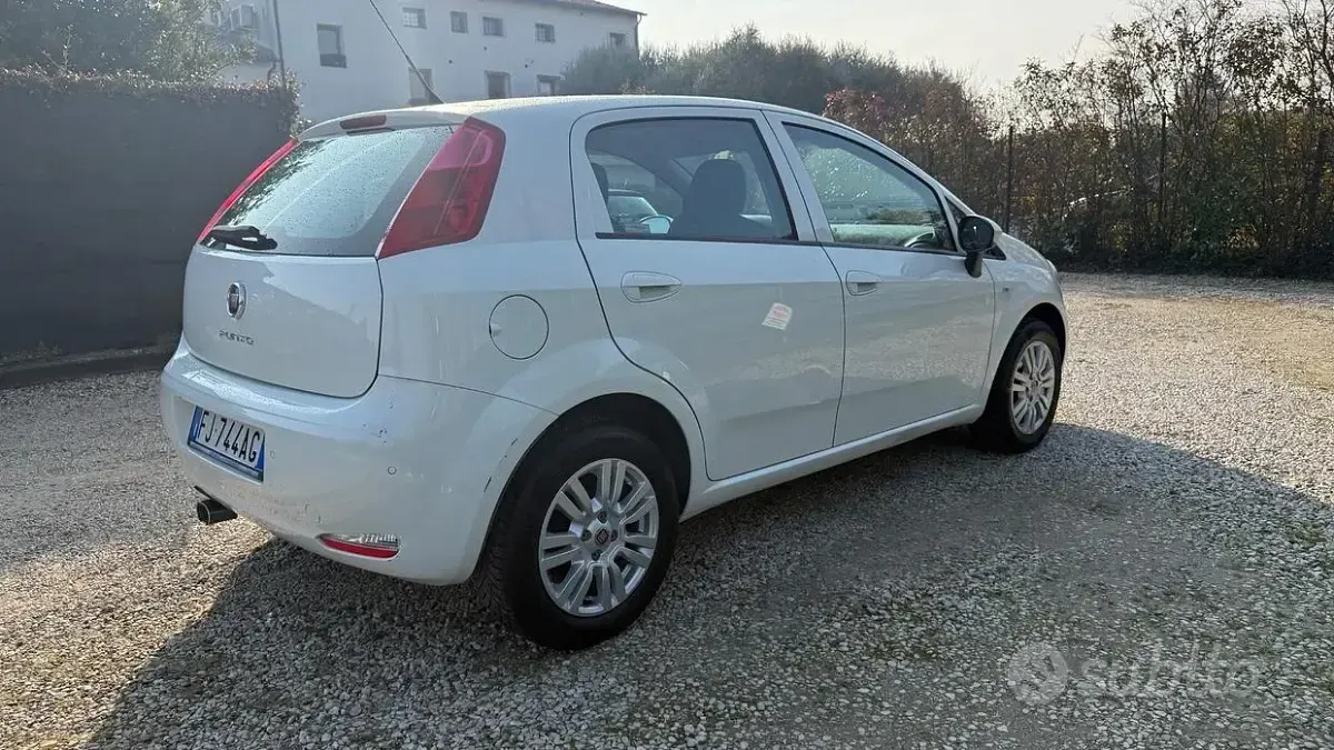 Usata Fiat Punto Evo 77 CV (56 kW) 2017 Bianco Utilitaria