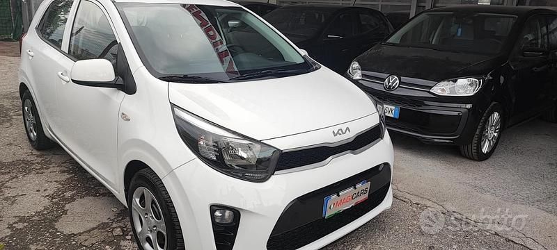 Usata Kia Picanto 67 CV (49 kW) 2021 Bianco Utilitaria