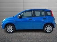 Nuova Fiat Panda Icon 69 CV (50 kW) 2025 Blu Berlina