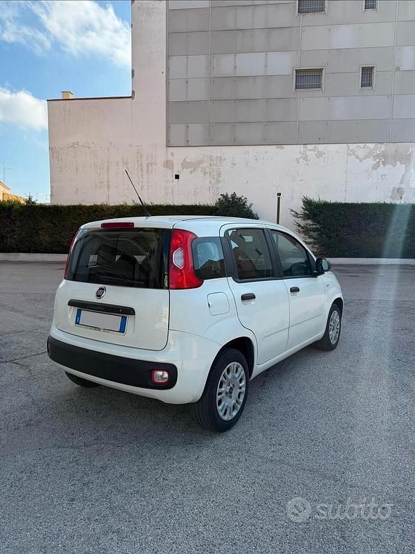 Usata Fiat Panda Easy 69 CV (50 kW) 2020 Bianco Utilitaria