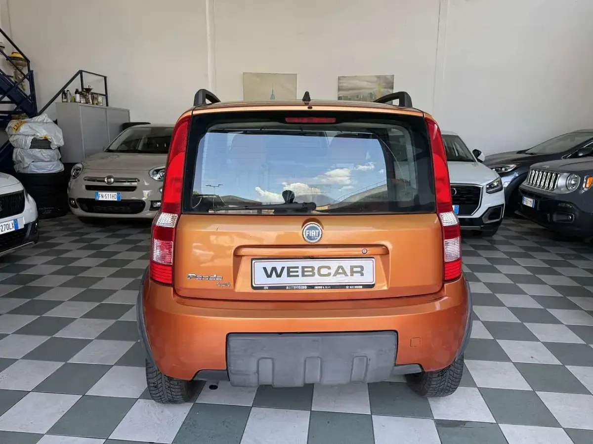 Usata Fiat Panda 4x4 Climbing 60 CV (44 kW) 2007 Bronzo Utilitaria